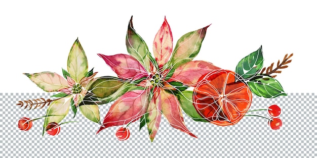 Composition aquarelle de Noël avec poinsettia et baies rouges