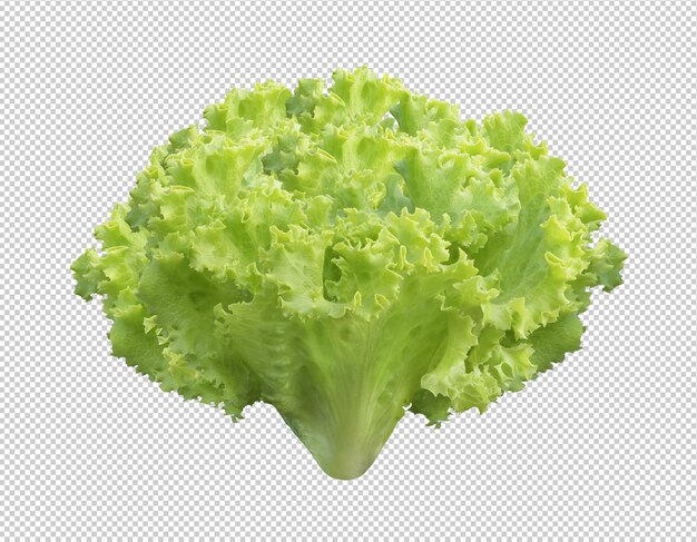 PSD composition de salade verte et fraîche