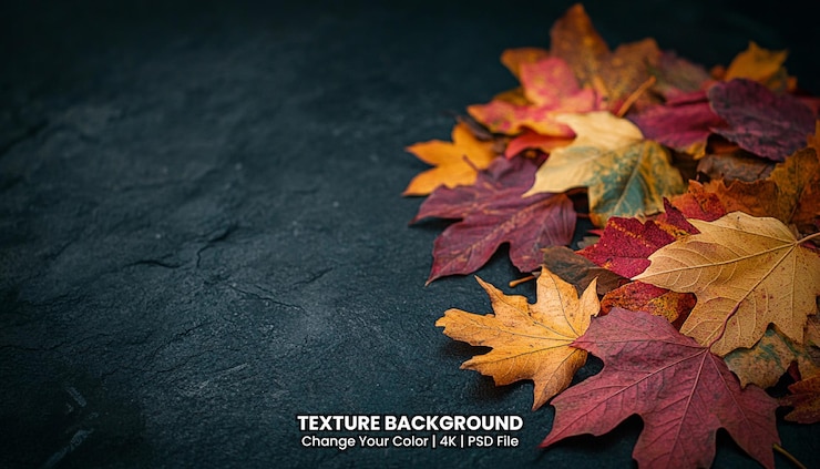 PSD composizione autunnale con foglie colorate tessuta sfondio