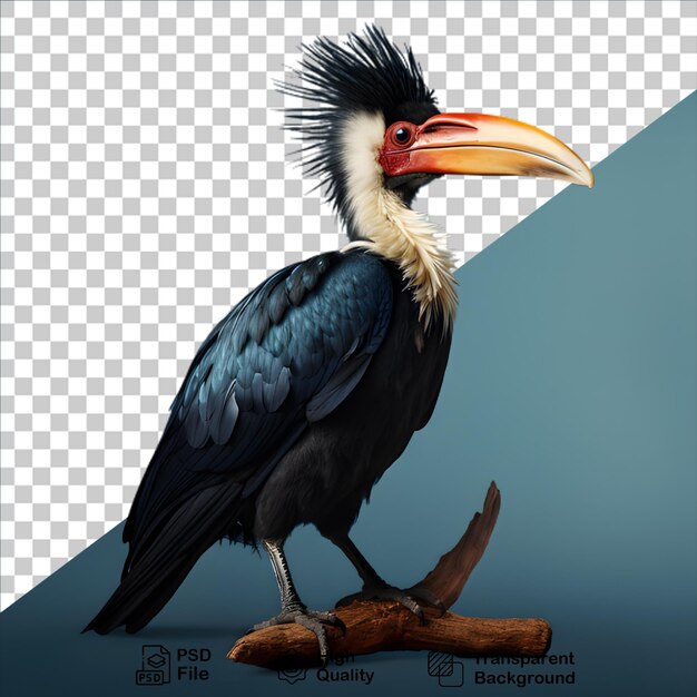 PSD conceito de aves tropicais isolado em fundo transparente incluir arquivo png