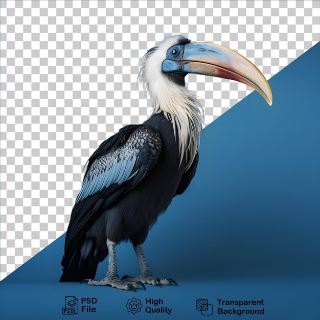 PSD conceito de aves tropicais isolado em fundo transparente incluir arquivo png