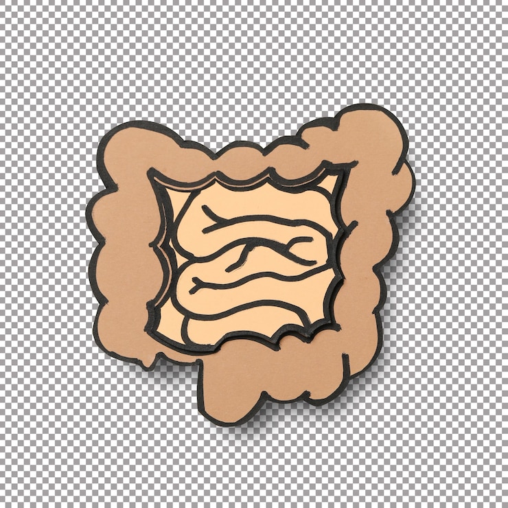 PSD concept of health care stomach and intestinal problems