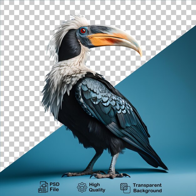 PSD concept d'oiseaux tropicaux isolé sur un fond transparent inclure un fichier png