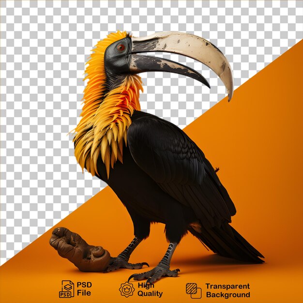 Concept D'oiseaux Tropicaux Isolé Sur Un Fond Transparent Inclure Un Fichier Png