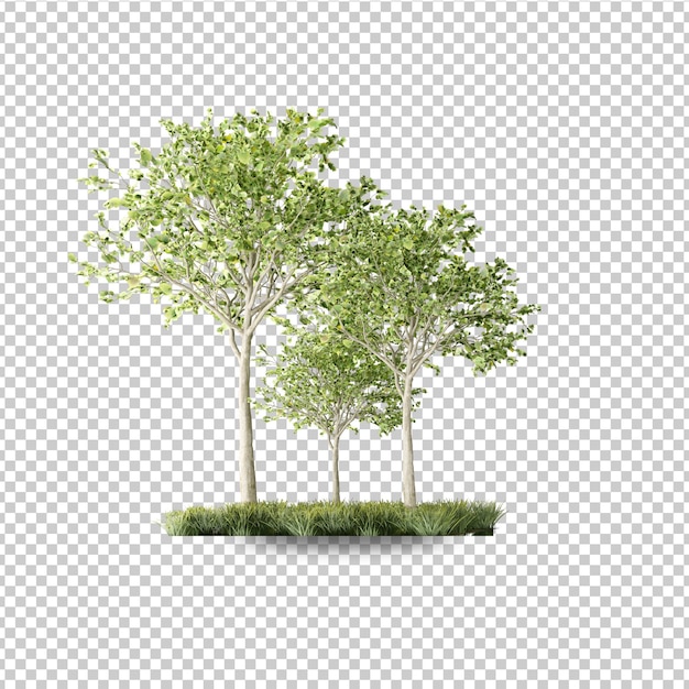 Conception D'arbres Tropicaux D'été