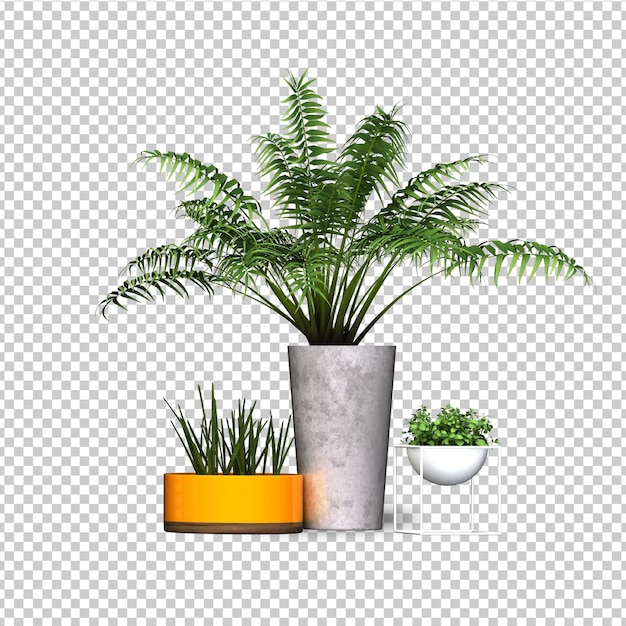 conception d'arbres tropicaux d'été