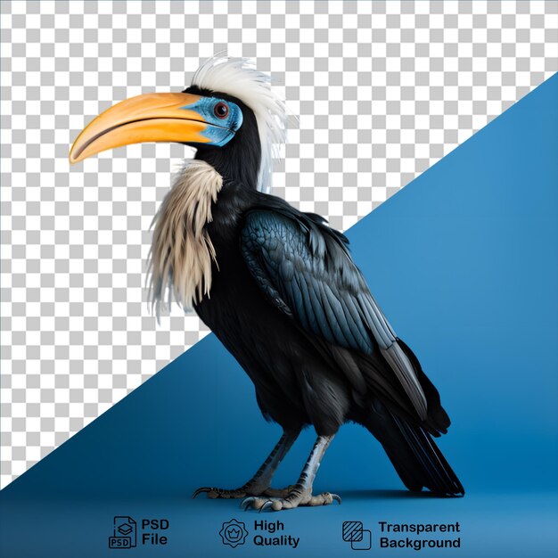 PSD concepto de aves tropicales aisladas en un fondo transparente incluyen archivo png