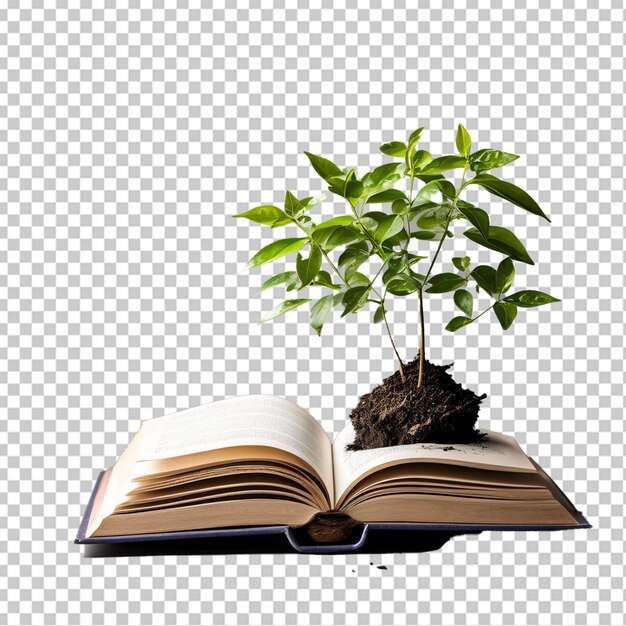 El concepto de educación del día mundial de la filosofía con el árbol del conocimiento plantado en la apertura de un viejo libro grande