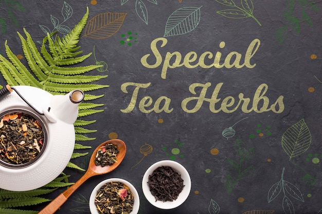 Concepto de hierbas de té especial vista superior