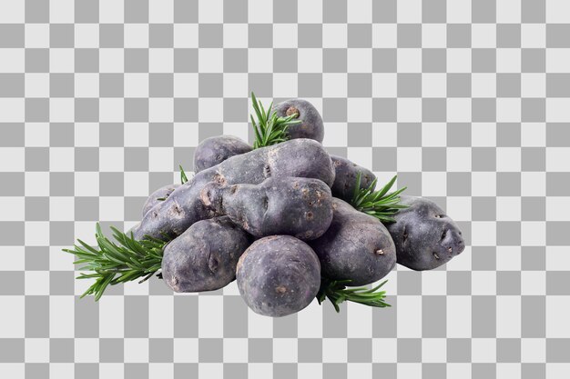 Concepto de hortalizas inusuales patatas púrpuras aisladas sobre fondo blanco