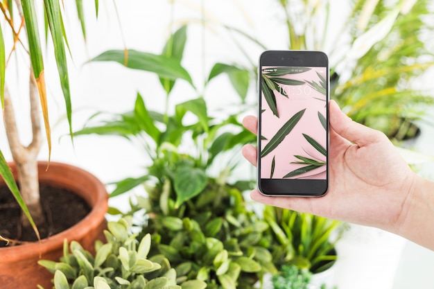 Concepto de jardinería con mano sujetando smartphone