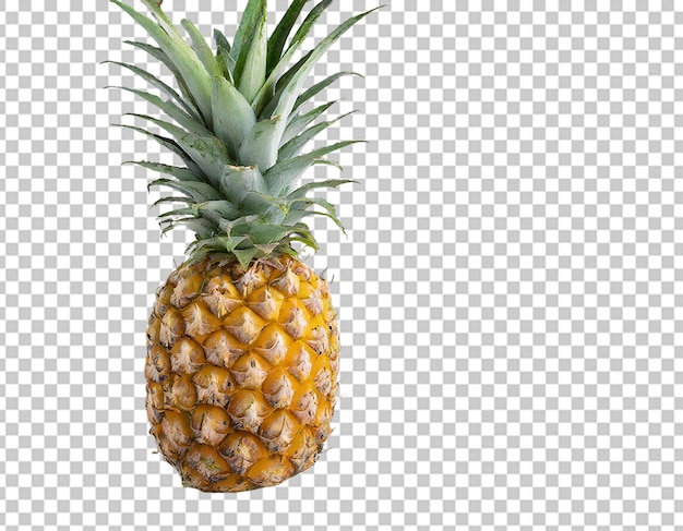 Concetto di ananas 3D