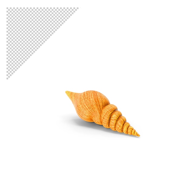 Concha de mar PNG