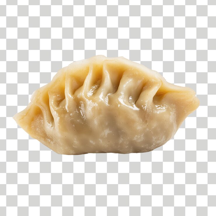 una concha con la palabra concha en ella