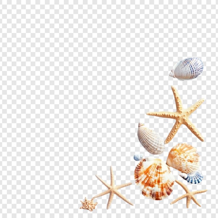 PSD conchas y estrellas de mar vacaciones de verano en la playa decoración del océano tema náutico diseño costero paraíso marítimo refugio tropical