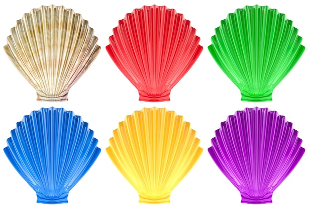Conchiglie colorate Roda da conchiglie colore vista superiore rendering 3D isolato su sfondo trasparente