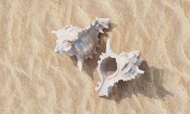 Conchiglie marine sulla spiaggia con rendering 3D di sabbia