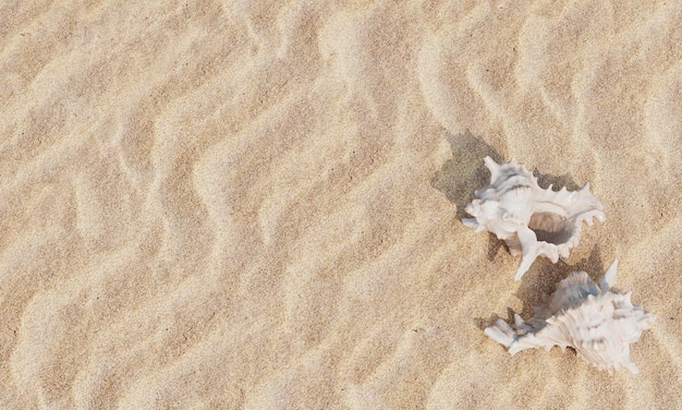 Conchiglie marine sulla spiaggia con rendering 3D di sabbia