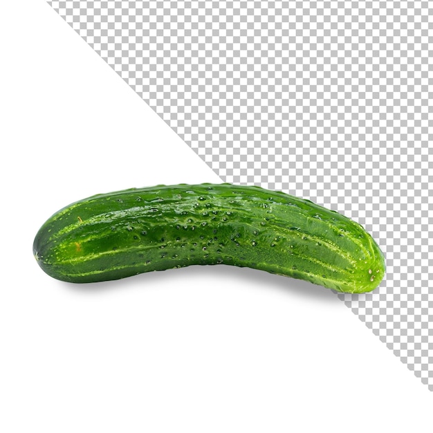 concombre frais isolé sur une surface blanche fond transparent PNG