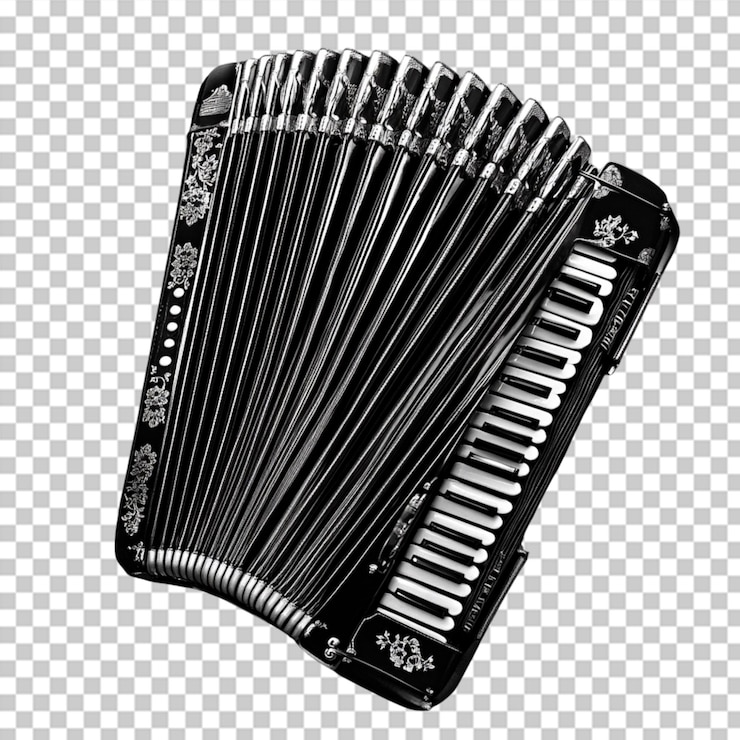 PSD concorso artistico per il mese della consapevolezza della fisarmonica