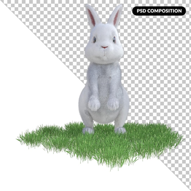 Conejo sobre hierba aislado 3d