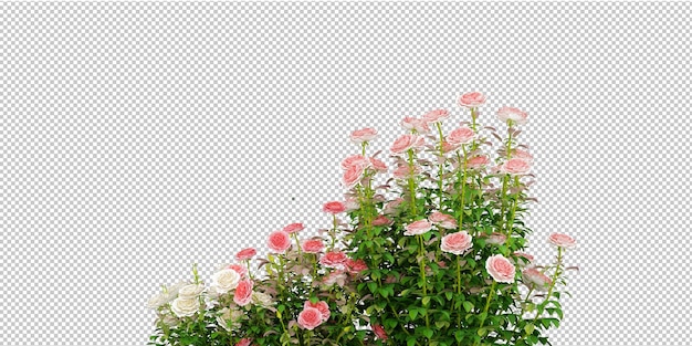 congedo di palma isolato e decorazione di fiori su sfondo trasparente