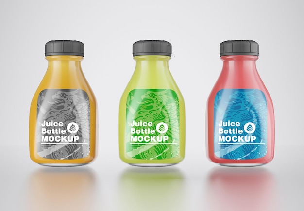 Conjunto de 3 botellas de plástico de jugo