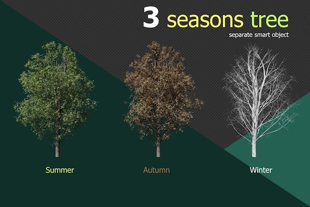 Conjunto de 3 temporadas de fondo transparente de árbol de arce