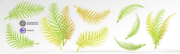 Conjunto 3d de hojas tropicales de palma de coco icono de hoja de render verde oro amarillo y naranja ramas de plantas exóticas follaje de verano y otoño vista lateral delantera elemento de diseño aislado
