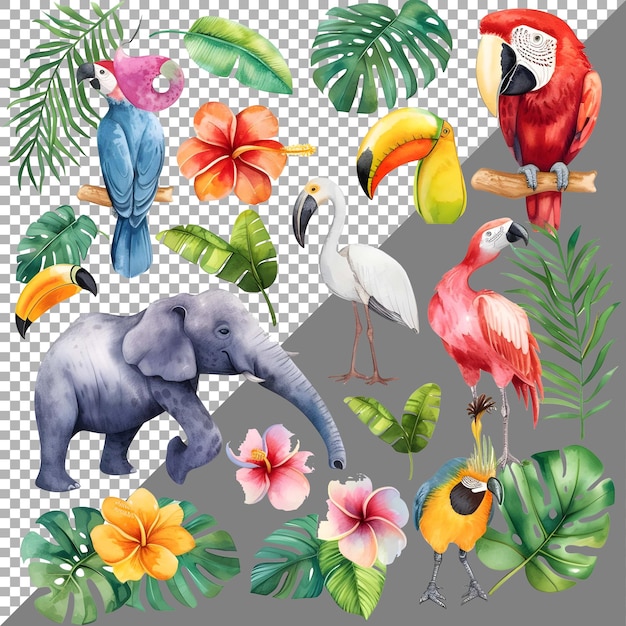 Conjunto de animales y aves de acuarela estilo pegatina en fondo transparente ai generado