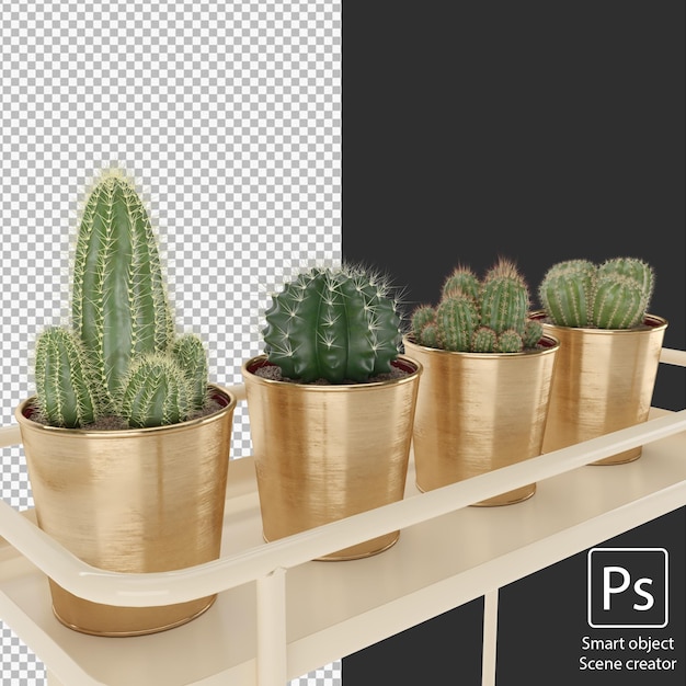 Conjunto de cactus en maceta de latón sobre mesa pequeña aislada