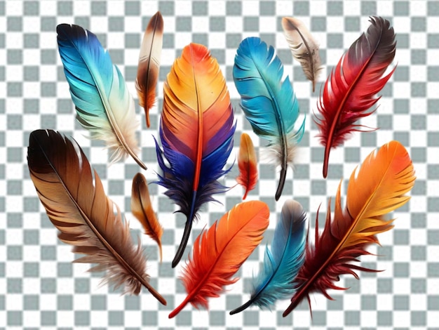 Conjunto de colores de plumas vectoriales realistas con imágenes aisladas de plumas de pájaros de diferentes colores png