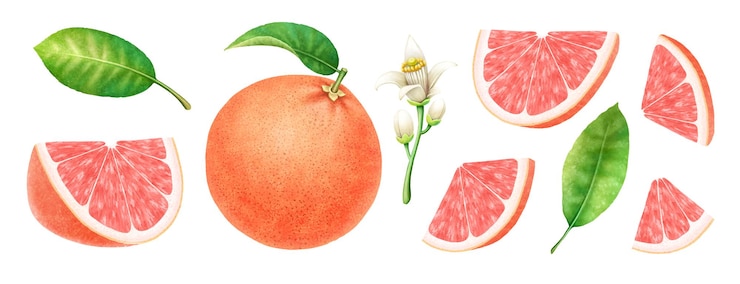 PSD conjunto de belos pomelos maduros suculentos com fatias de folhas e flores em fundo branco