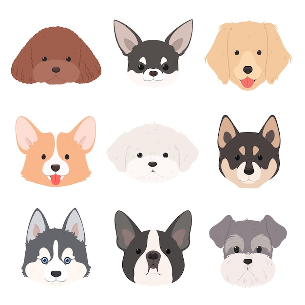 Conjunto de cachorros