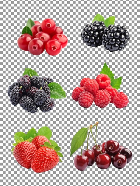 PSD conjunto de diferentes frutas silvestres isoladas em um fundo transparente