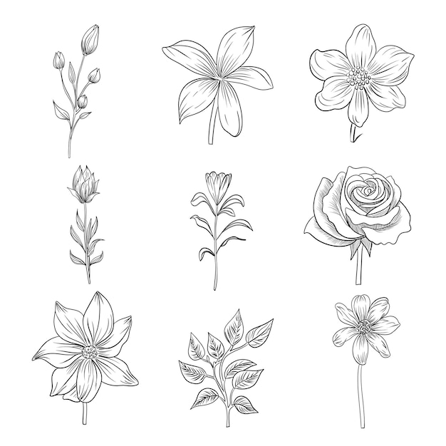 Conjunto de elementos decorativos florais de mão desenhada