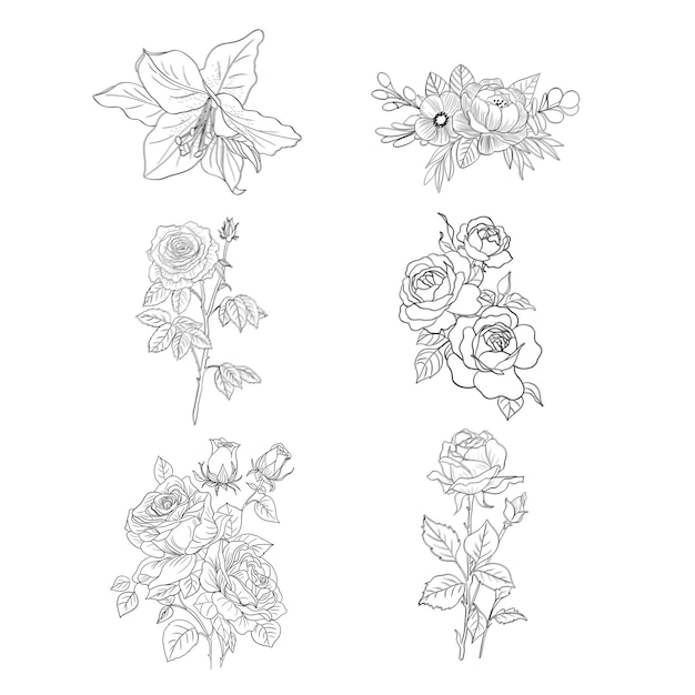 PSD conjunto de elementos decorativos florais desenhados à mão