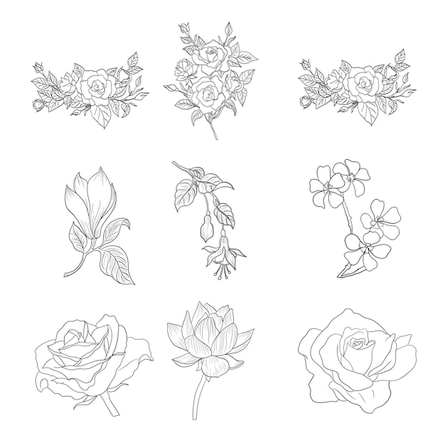 Conjunto de elementos decorativos florais desenhados à mão