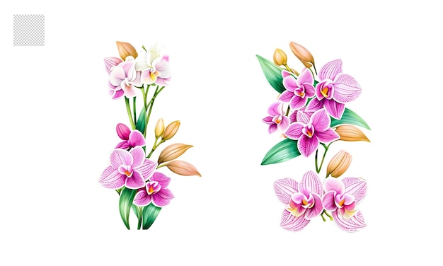 PSD conjunto de flores em aquarela com ilustrações realistas para designs de noiva simples e elegantes