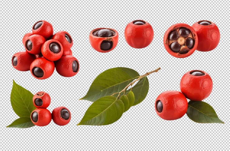 PSD conjunto de red guarana energy boost