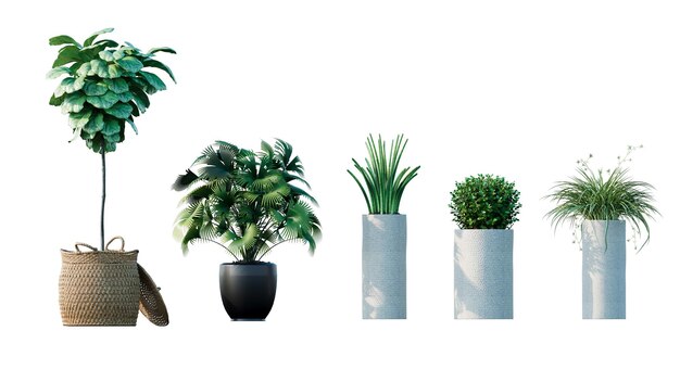 PSD conjunto de um belo vaso de plantas para ilustração com fundo transparente