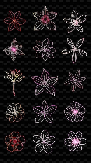 Conjunto de flores sobre un fondo negro