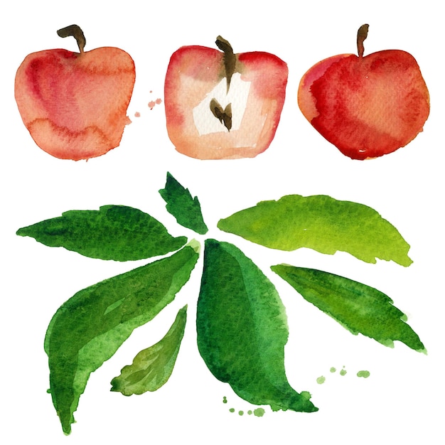 Conjunto de manzana roja acuarela aislado sobre fondo blanco