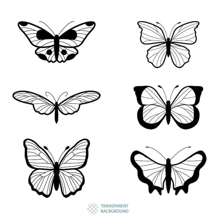 PSD un conjunto de mariposas con las palabras que trascienden el fondo.