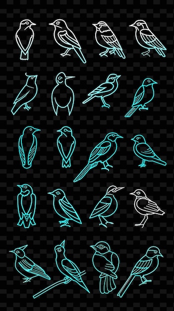 un conjunto de pájaros en un fondo negro