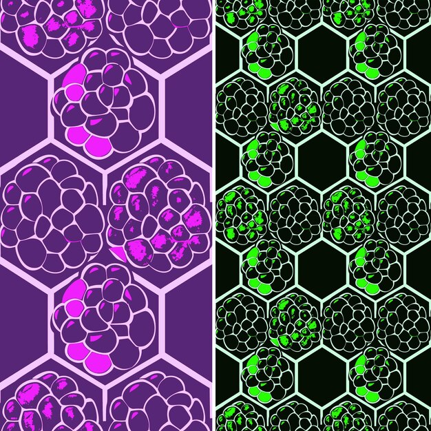 PSD un conjunto de patrones geométricos púrpura y verde con las flores verdes y púrpuras