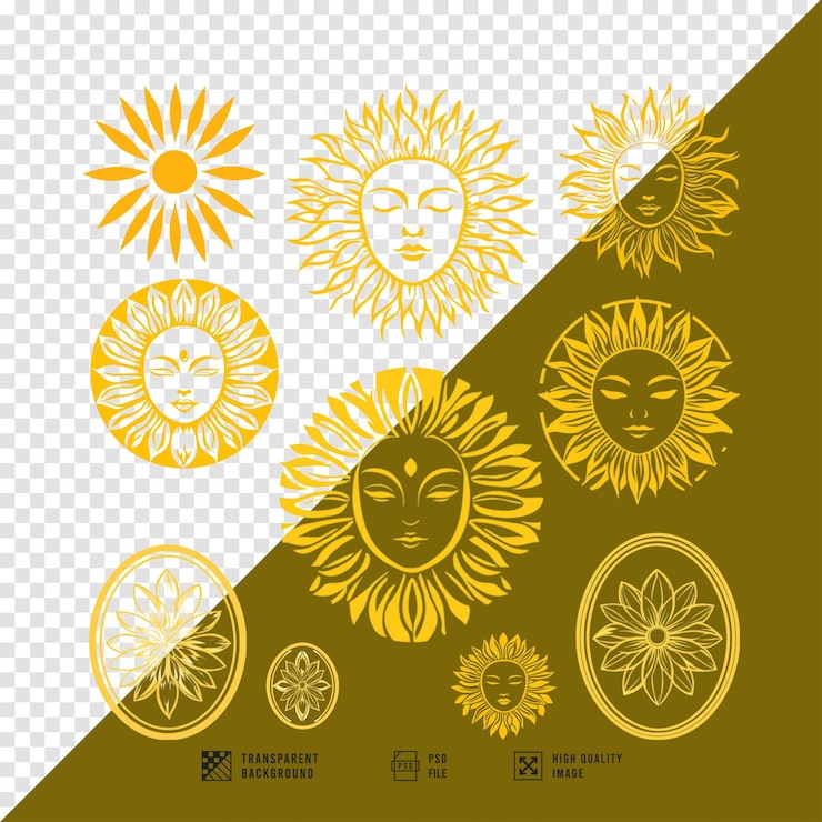 PSD conjunto de pegatinas de girasol imagen sin fondo calidad hd