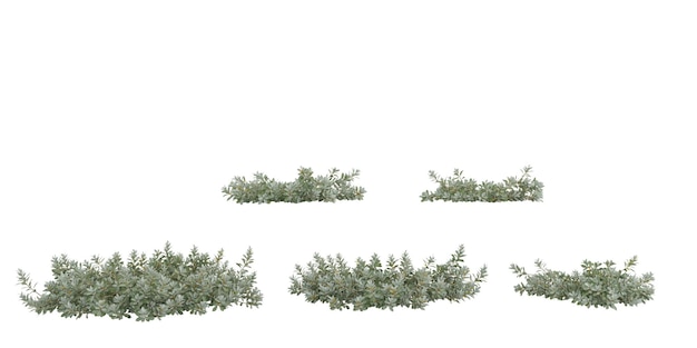 Conjunto de plantas de arbusto de tas aisladas en un fondo transparente