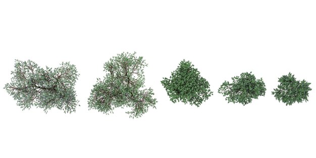 Conjunto de plantas de flores azules extravagantes aisladas sobre un fondo transparente renderización 3D vista superior
