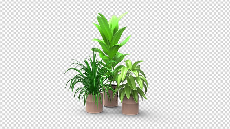 Un conjunto de plantas en macetas con hojas verdes.
